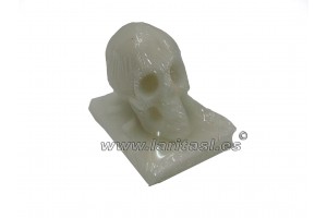 Figura Cera Calavera Con libro Blanca